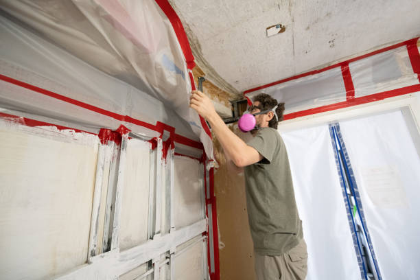 Best Basement Mold Removal  in West Orange, TX