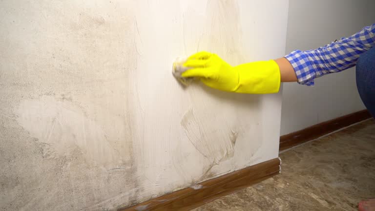 Best HVAC Mold Inspection and Cleaning  in West Orange, TX